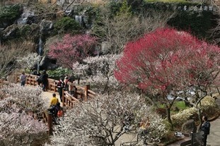 熱海梅園