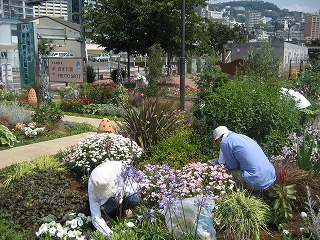 写真：花壇等の手入れをしている様子1