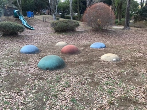 写真:マリポン