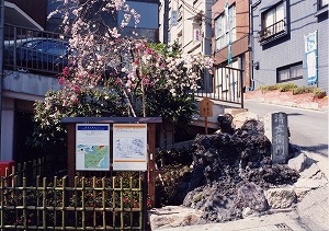 写真：民家に囲まれ、清左衛門の湯の横には看板と小さな木が立っている