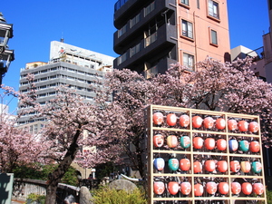 令和6年1月26日撮影