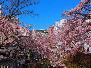 令和6年1月30日撮影