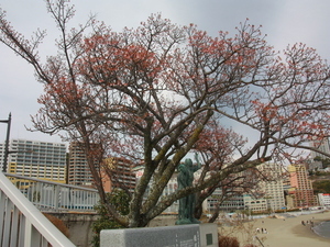 令和8年2月10日釜鳴屋平七像あたみ桜の様子