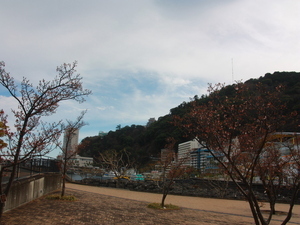 令和8年2月10日渚デッキのあたみ桜その1