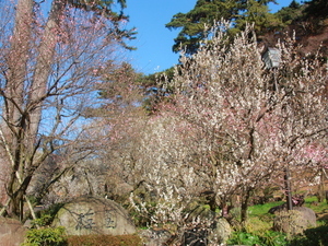 令和8年1月30日梅園正面入り口付近の様子