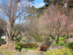 令和8年2月12日梅園正面入口付近の様子