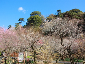 令和8年2月2日の中央広場付近の様子