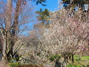令和8年2月2日の正面入り口付近の様子