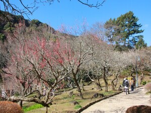 令和8年2月2日の香林亭付近の様子