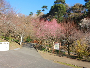 令和8年1月8日　中央広場の様子