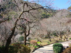 令和8年1月8日 香林亭の様子
