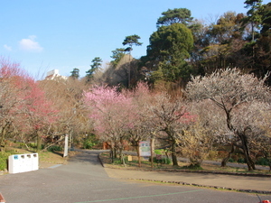 令和8年1月27日中央広場付近の様子