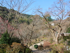 令和8年1月27日香林亭付近の様子