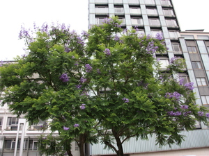 令和5年6月22日撮影