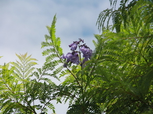 令和8年6月8日親水公園前歩道