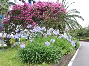 令和5年6月23日　撮影