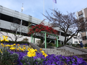 令和5年度1月花広場のブーゲンビリアその2