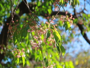 令和7年12月15日熱海高校下原木の様子その2