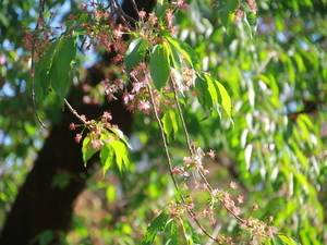 令和7年12月18日熱海高校下原木その2