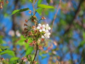 令和7年12月15日熱海高校下原木の様子その2