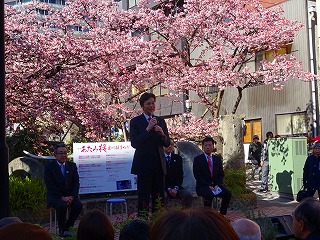 「あたみ桜・糸川桜まつり」のオープニングセレモニーに出席している市長の写真
