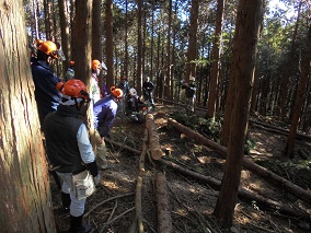自伐型林業