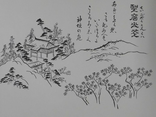 「聖廟山花」の画像