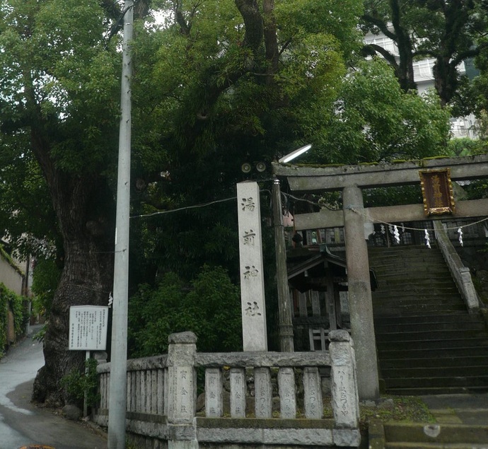 湯前神社のクスノキの画像
